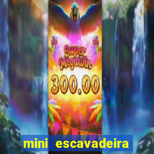 mini escavadeira aluguel rj